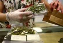 Uruguay habilitará puntos para la compra de cannabis con dinero en efectivo