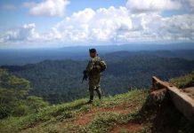 Enfrentamiento armado deja cuatro fallecidos en Panamá