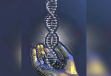Mexicanos crean lector de ADN portátil que detecta mutaciones en segundos