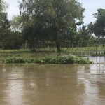 Declaran alerta roja en región norte de Guatemala azotado por lluvias