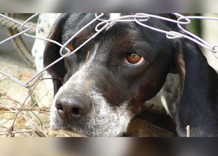 Sin_titulo-1_tOjEHrp