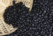 Frijol negro hondureño le apunta al mercado mexicano