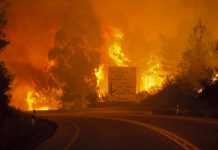Policía Judicial apunta a un rayo como causa probable del incendio en Portugal