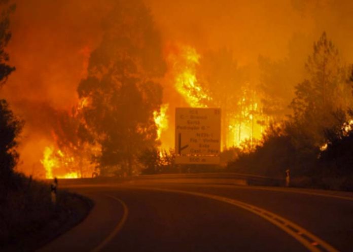 Sin_titulo-1_u90x5Ef