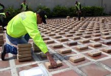 El Salvador decomisó casi cuatro toneladas de drogas en lo que va de 2017