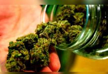 Nueva droga conocida como Crispy Kush atormenta a jóvenes de Honduras