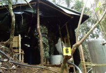 Colombia: Autoridades destruyen dos laboratorios para procesar cocaína