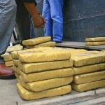 Colombia: incautan 700 kilos drogas destinada a Corea del Sur