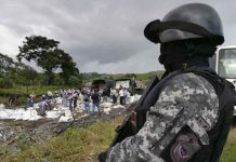 Panamá: Autoridades destruyen más de 8.4 toneladas de drogas
