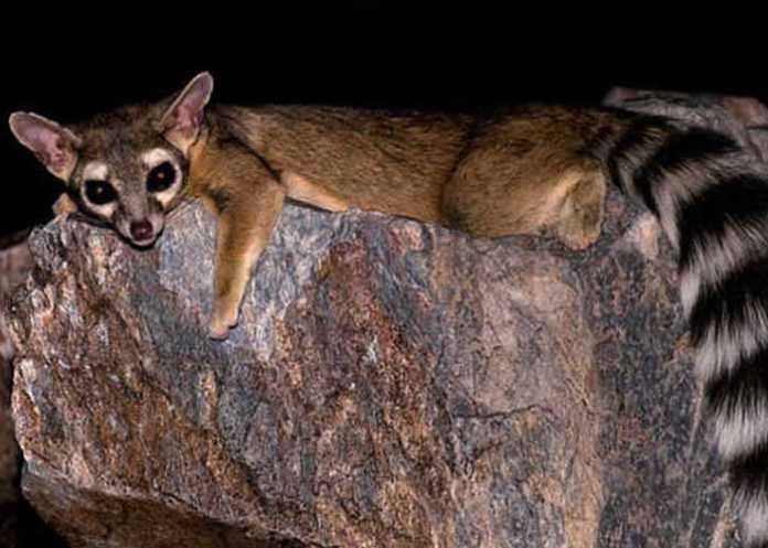 Sin_titulo-1_wQS5c5C