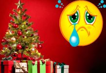 Maleantes roban árbol de Navidad y dejan enorme tristeza a familia costarricense