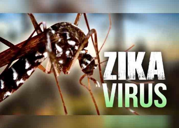 Sin_titulo-1_z2c5erk