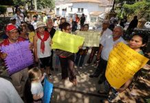 Protestan por amenazas de corte masivo de árboles en Honduras