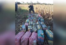 Incautan casi dos toneladas de cocaína arrojadas de una avioneta en Argentina
