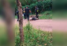 Costa Rica: Matan a hombre por quemar los ranchos de su expareja