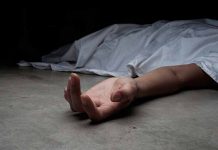 Perú: Matan a balazos a venezolano por tratar de impedir el robo en una pollería