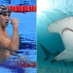 Michael Phelps vs Tiburón ¿Quién ganará?