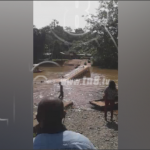 Captan en video el fatal accidente de bus en el Río San Juan