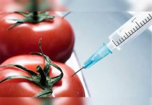 3 maneras sencillas de distinguir los alimentos transgénicos de los normales