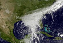 Tormenta Cindy se intensifica mientras se aproxima a Luisiana y Texas