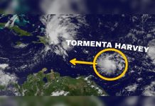 Se forma la tormenta tropical Harvey
