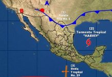 Tormenta tropical Harvey mañana podría ser huracán