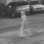 Escoltan a niños ante presunto asesino serial en EEUU