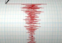 sumatra, terremoto, registro, fenomeno natural, informacion, autoridades,