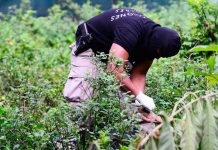 Registran muertes violentas esta madrugada en El Salvador