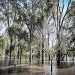 Trabajadores uruguayos realizan paro general parcial