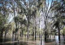 Trabajadores uruguayos realizan paro general parcial