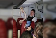 Culebra suelta causa conmoción en avión