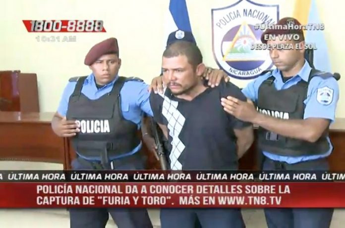 WhatsApp_Image_2017-02-26_at_10.39.10_AM