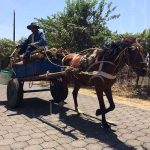 Chinandega: Fallece al caerle carretón encima