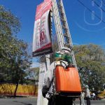 Abejas atacan a pobladores en una zona de Managua