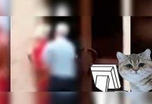 Video: Descubren a abuelos teniendo sexo en plena vía pública