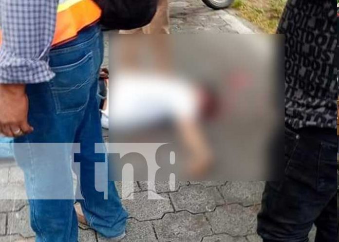 nicaragua, accidente, ometepe, muerto, caballo,