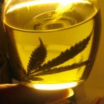 Aceite de marihuana, alivio contra efectos de quimioterapia en cáncer de mama