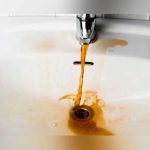 La OMS alertó sobre el estado del agua en el mundo