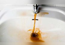 La OMS alertó sobre el estado del agua en el mundo