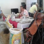 INTA realiza congreso internacional de ganadería