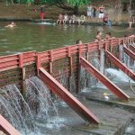 León: Se sumerge en estado de ebriedad y pierde la vida