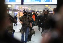 Frank-Walter Steinmeier, elegido presidente de Alemania