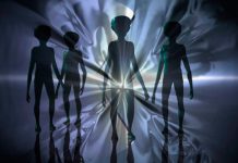 Astrobiólogos explican el aspecto de los alienígenas