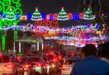Casi listos altares a la Virgen María en la Avenida de Bolívar a Chávez