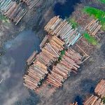 amazonia brasileña, medio ambiente, deforestacion, cambio climatico,