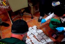 Desarticulan la mayor organización de tráfico de anabolizantes y esteroides de Europa
