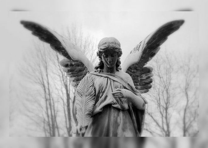 angel-portada-hijo