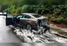 Video: Camión se accidenta con criaturas viscosas y las consecuencias son desagradables