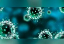 OMS empezará precalificación de biosimilares para tratamientos contra cáncer